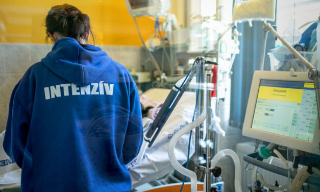 „Kifejezetten rossz állapotban került a klinikára, csillapíthatlan láza volt” – különleges terápiával gyógyult meg a 6 éves kisfiú a koronavírus utáni sokszervi gyulladásból a Semmelweis Egyetemen