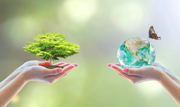 Hatékony és megfizethető fertőtlenítés ózongenerátorral és speciális UV-lámpával