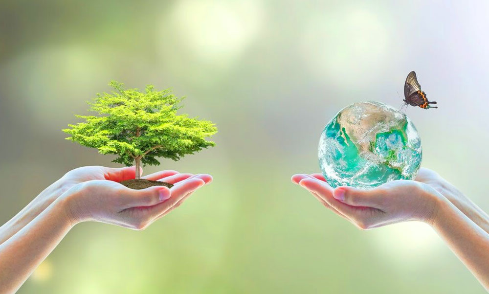 Hatékony és megfizethető fertőtlenítés ózongenerátorral és speciális UV-lámpával