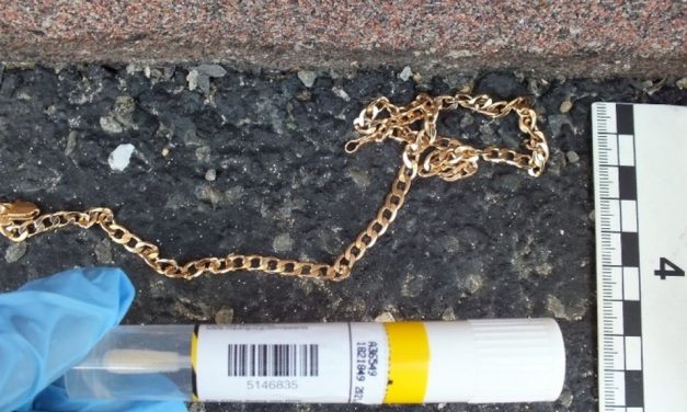 Fellöktek egy babakocsit toló nőt, hogy így lopják el a nyakláncát