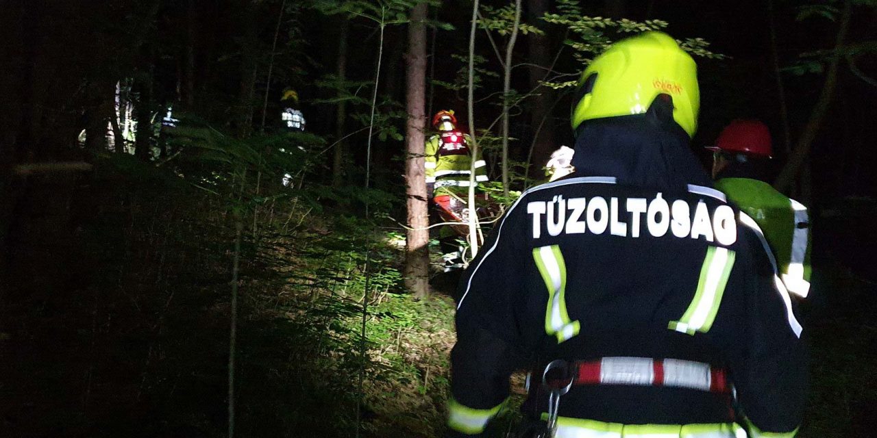 Balesetet szenvedett egy 7 éves gyermek a Pilisben – egy szakadékba esett le
