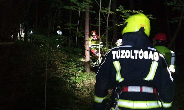 Balesetet szenvedett egy 7 éves gyermek a Pilisben – egy szakadékba esett le