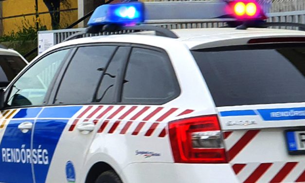 Kecskékkel és más állatokkal fajtalankodhatott egy tiszarádi fiú, a népligeti buszpályaudvarnál fogták el