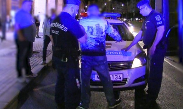 „Az őrjöngő férfi hirtelen elhallgatott” – Rendőri igazoltatás közben meghalt egy férfi Gödön