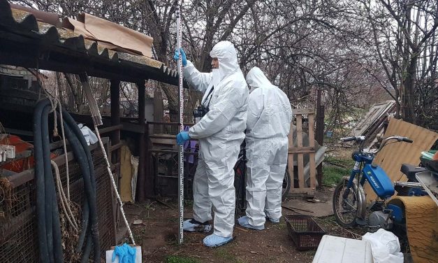 A fészerben, egy lavór alá rejtette újszülött gyermekét a Pest megyei nő, pár órán belül a nagymama talált rá élettelen unokájára