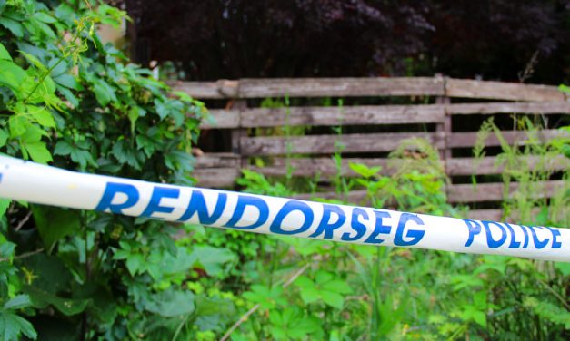 Döbbenetes fordulat: megszólalt a pátyi boncmester lánya