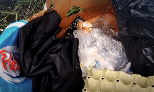 Összeszedte az illegális hulladékot egy kőbányai képviselő és a kidobott számlákból összerakta, hogy ki a szemetelő