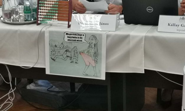 Megalázó és sértő karikatúrát rakott ki Baranyi Krisztináról fideszes elődje