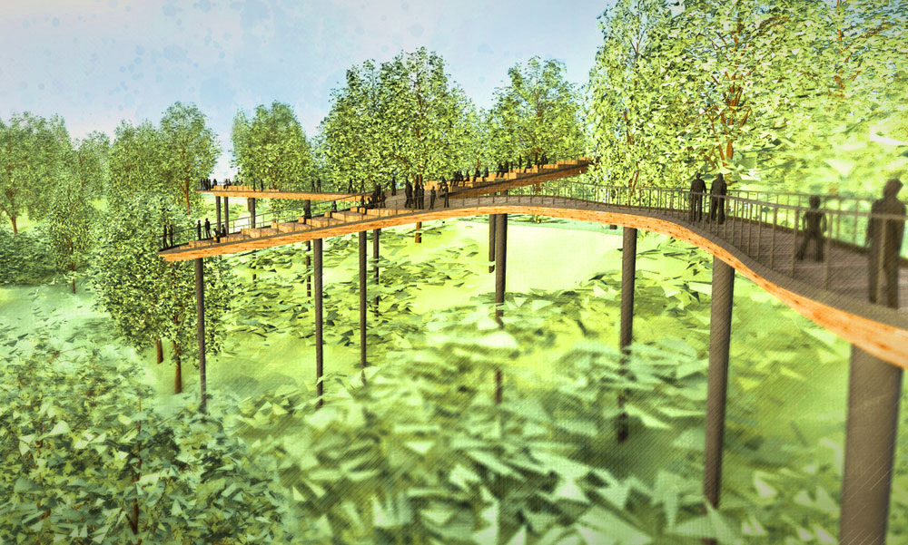 Ilyet még nem láttál Budapesten! Lombkoronasétány lehet a Normafánál