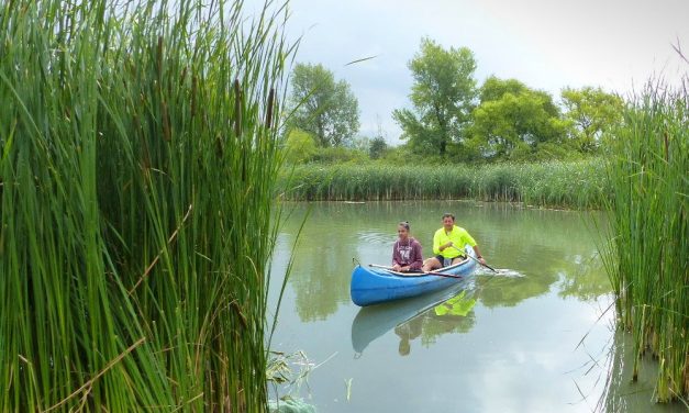 Székek és asztalok a Dunában! Meglepődtek Szigetszentmiklóson, hol találták a legnagyobb mocskot