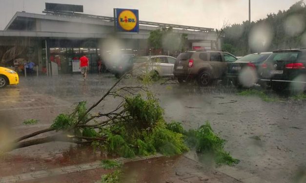 Valami történt a Lidl-nél, szétrobbant fákat láttak a parkolóban