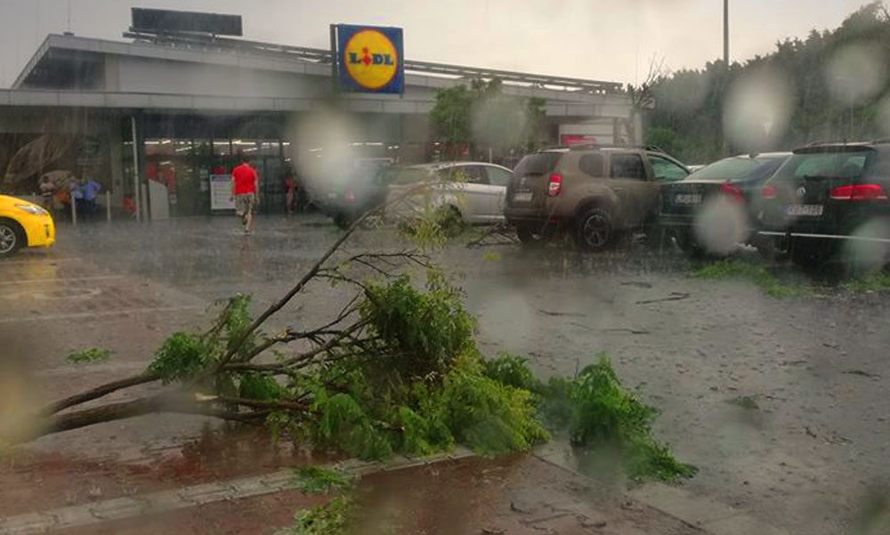 Valami történt a Lidl-nél, szétrobbant fákat láttak a parkolóban
