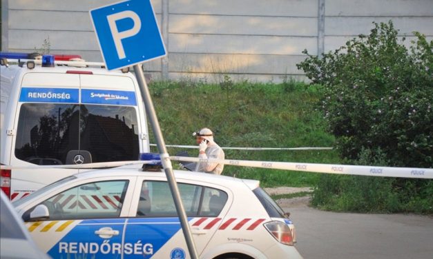 Új fejlemény: Gyanúsítottakat vettek őrizetbe az érdi emberölés ügyében