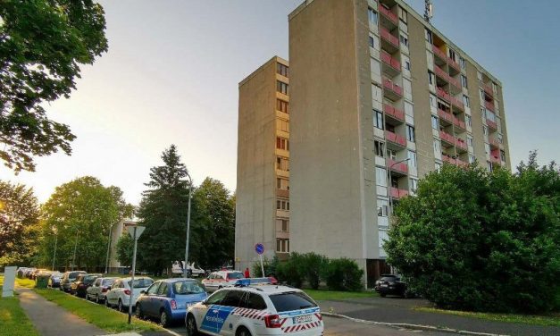 Kizuhant egy másfél éves kislány az ablakon, egy rendőr élesztette újra