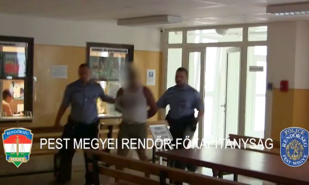 Sorozatbetörőt fogtak el Gödöllőn, mindent kifosztott, ami az útjába került
