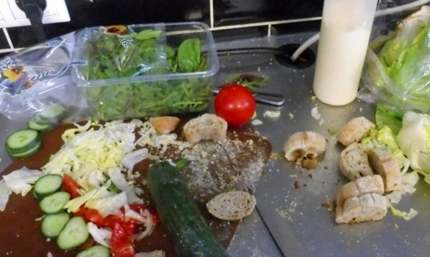 Igazi pöcegödör volt a budapesti hamburgerező, bezáratta a NÉBIH, de már újra kinyitott