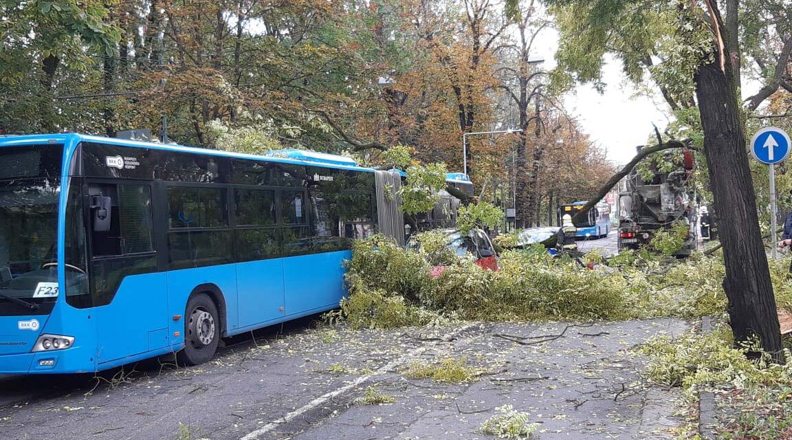 Egy betonkeverő miatt dőlt rá a fa két autóra és a BKV buszra: óriási a torlódás a 2. kerületben