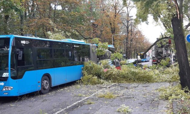 Egy betonkeverő miatt dőlt rá a fa két autóra és a BKV buszra: óriási a torlódás a 2. kerületben
