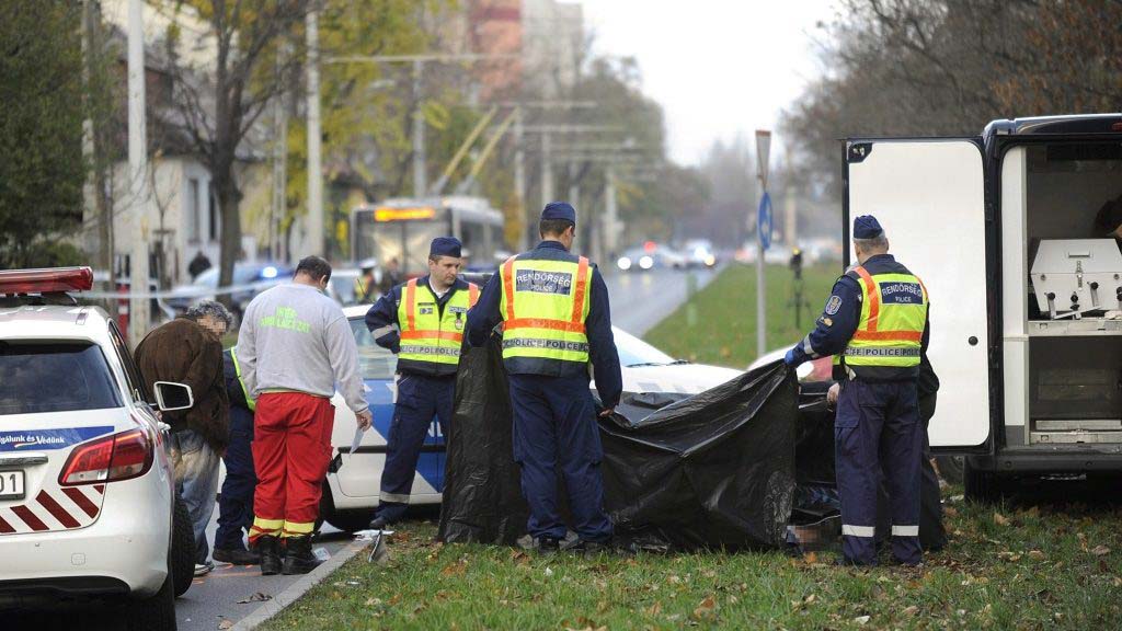 Bedrogozva, fékezés nélkül gázolta halálra a nő a 85 éves férfit: segítségnyújtás helyett műszempillát ment csináltatni