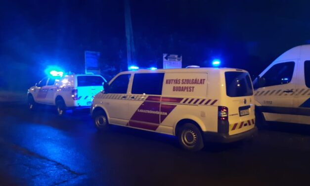 Tűz ütött ki egy 10. kerületi telephelyen, gázpalackokat robbantak az épületben