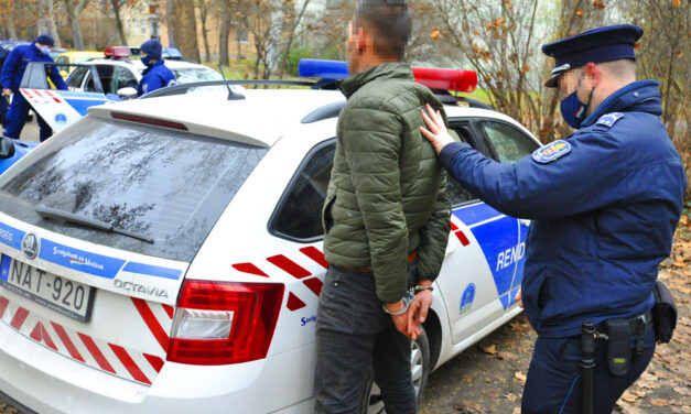 Rajtaütés Gödöllőn, úgy csikorogtak a rendőrautók a parkolóban, hogy megállt az élet a környéken