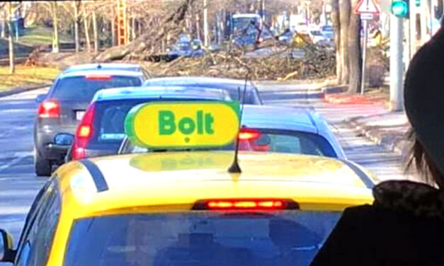 Kidőlt egy fa a 2. kerületben, teljesen leállt a forgalom a Budagyöngyénél