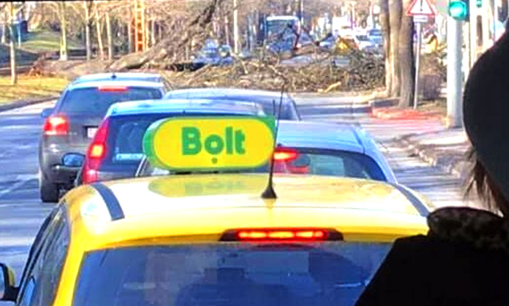 Kidőlt egy fa a 2. kerületben, teljesen leállt a forgalom a Budagyöngyénél