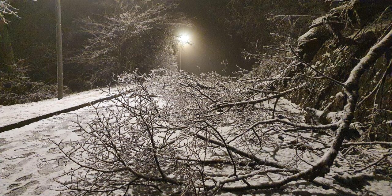 Figyelmeztetnek a meteorológusok: vastag jégpáncél alakulhat ki az ónos eső miatt a budai hegyekben, piros riasztás is lehet