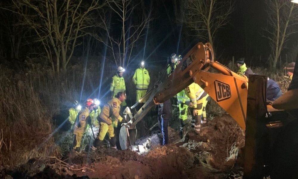 „Beszéltem Károllyal és két másik munkással, de azt állították, hogy a főnökség elzavarta Szvetlánát” – különösen kegyetlenséggel végzett párjával a Veresegyházi Medveotthon dolgozója