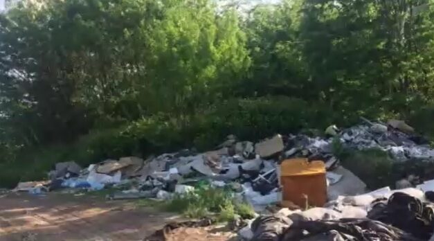 Kóbor kutyák miatt riasztották az állatvédőket a 2-es főúthoz – A helyszínre érve sokkot kaptak, egy illegális dögtelepre bukkantak – videó