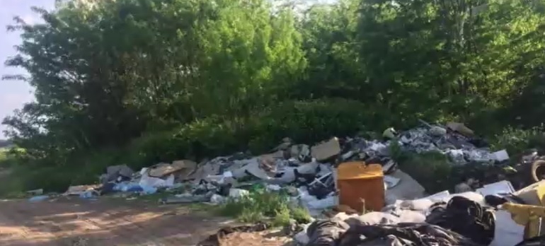 Kóbor kutyák miatt riasztották az állatvédőket a 2-es főúthoz – A helyszínre érve sokkot kaptak, egy illegális dögtelepre bukkantak – videó