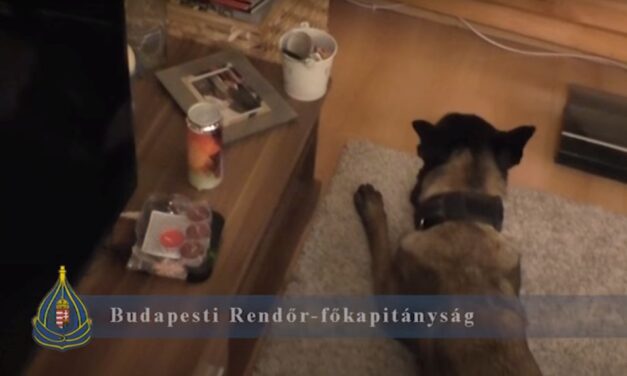 Nagypályás heroinkereskedők ellen emeltek vádat: a dílereknél több mint 80 millió forintnyi kábítószert találtak – Videóval