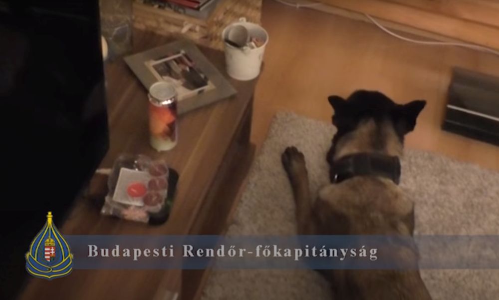 Nagypályás heroinkereskedők ellen emeltek vádat: a dílereknél több mint 80 millió forintnyi kábítószert találtak – Videóval