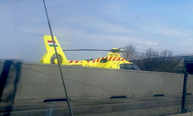 Az út közepén próbálták újra éleszteni az elektromos kerékpárral eleső nyugdíjast