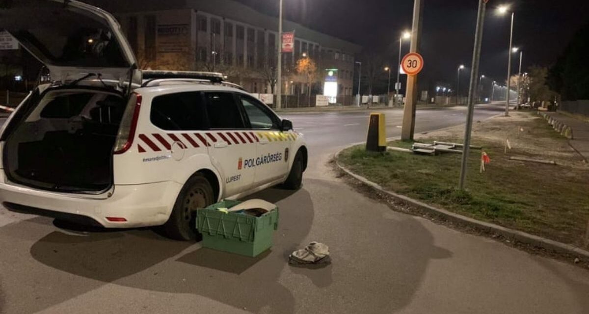 „Már nem volt idő semmire” – Újpesten, egy járdán szülte meg gyermekét ez a nő – Így segítettek neki a polgárőrök