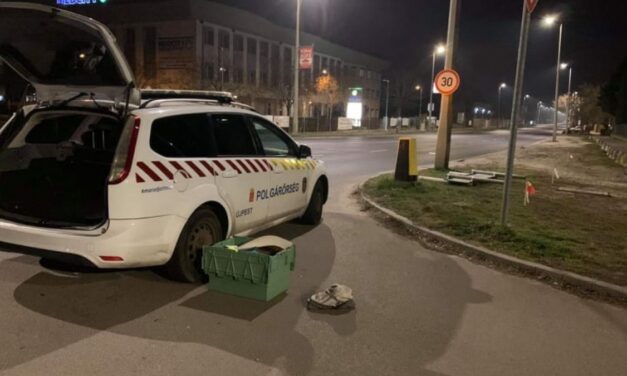 „Már nem volt idő semmire” – Újpesten, egy járdán szülte meg gyermekét ez a nő – Így segítettek neki a polgárőrök