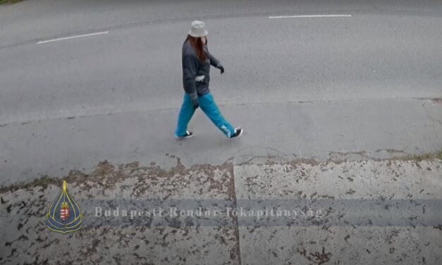 18 év börtönt kapott a budai parókás rabló – Videóval