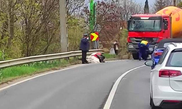 Betonkeverővel ütközött egy elszabadult ló a Balatoni úton, tragikus vége lett a vágtának,