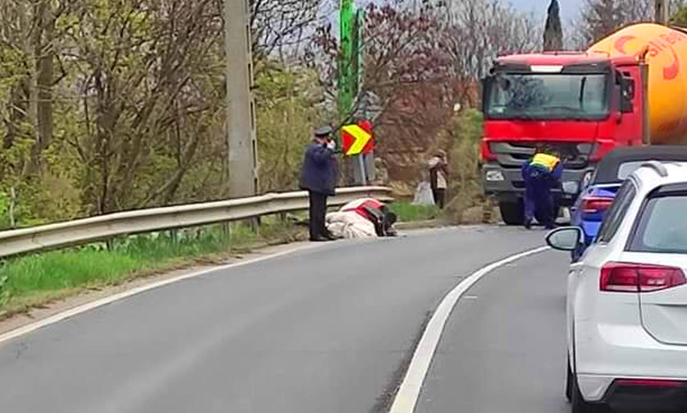 Betonkeverővel ütközött egy elszabadult ló a Balatoni úton, tragikus vége lett a vágtának,