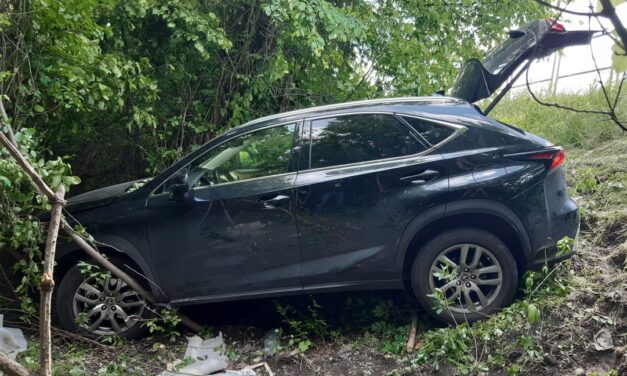 Vezetés közben lett rosszul az egyik nagykövetség dolgozója, a tűzoltóknak a fákat is ki kellett vágniuk, hogy hozzáférjenek a sérülthöz a Lexusban