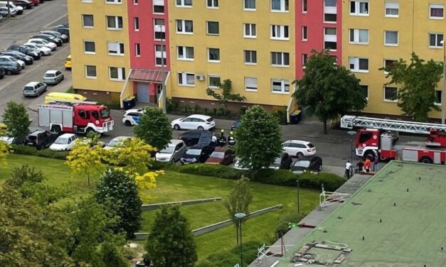 Kábítószer hatása alatt állhatott az a nő, aki ököllel támadt anyjára, majd meg akarta ölni az asszonyt – a TEK is kivonult a kispesti lakótelepre