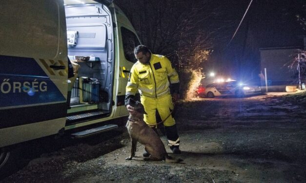 „Heteken át kutattuk, ahol csak lehetett, de már sejtettük, hogy Évikével valami szörnyűség történhetett” – 10 év börtönre ítélték a Pest megyei feleséggyilkost, aki egy pincében ásta el áldozatát