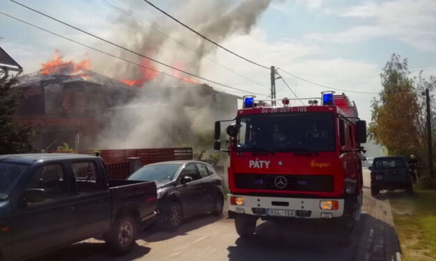 Ez történik, ha egy idióta szomszéd tüzet gyújt a tuják mellett és belobban minden