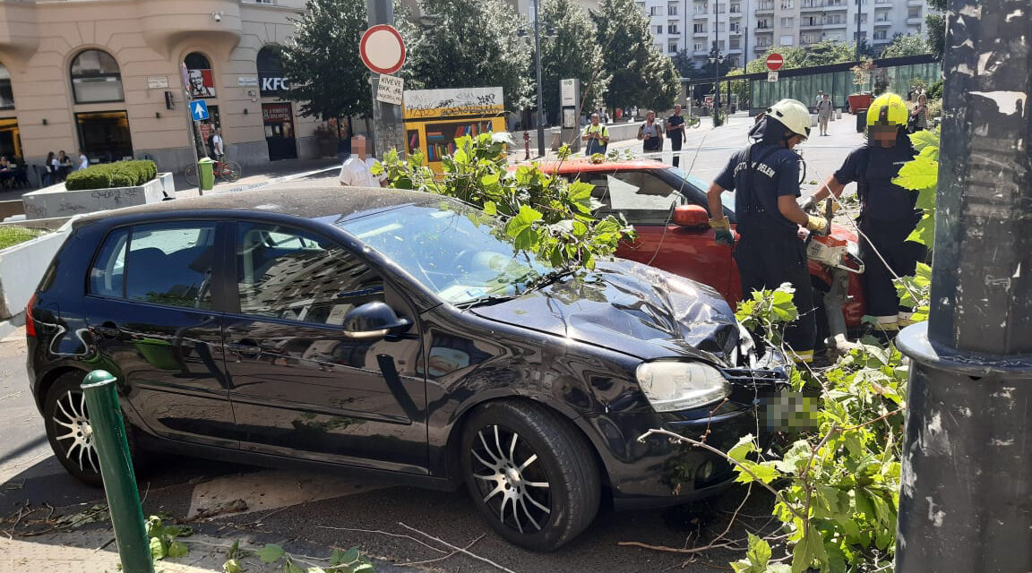 Kidőlt platánfa rongált meg több autót is Budapesten – Sokkoló képek a helyszínről