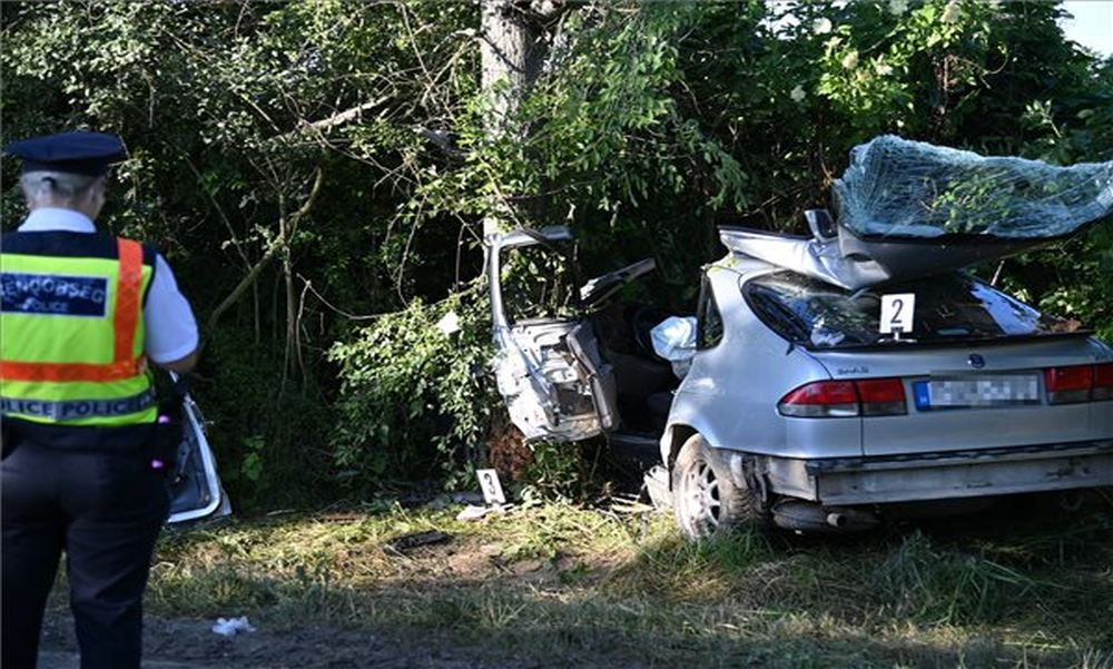 Fának csapódott egy autó Biatorbágy közelében, a budapesti utas a helyszínen életét vesztette