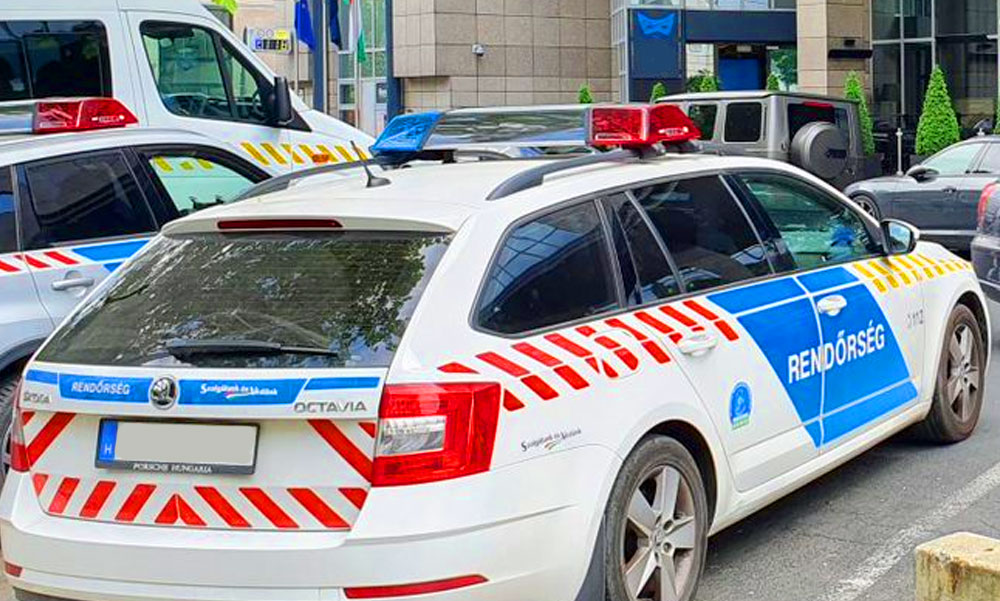 150 ezer forint értékű egerekkel verte át a találékony budapesti csaló a lépre ment szekszárdi férfit