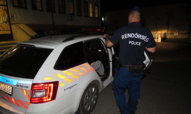 Válságos állapotban van az a csepeli férfi, akire kutyasétáltatás közben támadt rá egy társaság, Árpád utolsó erejével is haldokló kutyáját védte