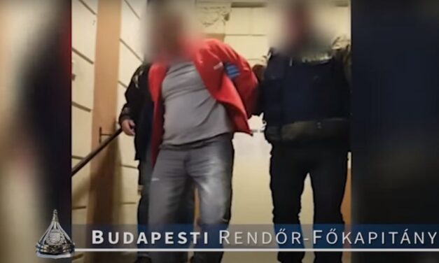 Húsz év fegyházra ítélték az újbudai férfit, aki többször is fejbe szúrta a volt barátnőjét