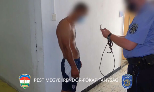 Tragikus vége lett a iszogatásnak: elvágta cimborája nyakát egy fiatal férfi Sződligeten