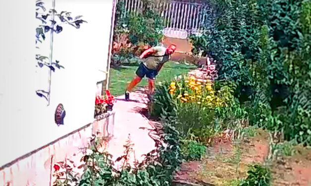 Döbbenetes videó! Pofátlan besurranó tolvajok vitték el a házaspár pénzét, amíg ők a kertben dolgoztak, felvétel készült a lopásról